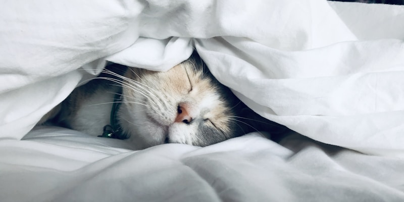 Sleeping better every night